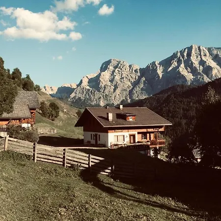 Confolia * Wengen